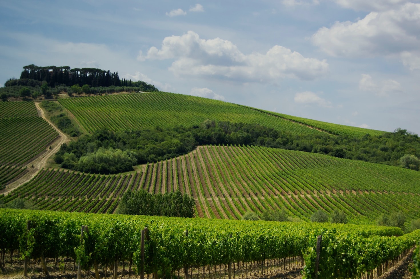 I segreti della vinificazione nella nostra cantina