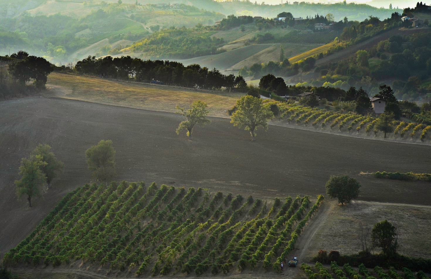 Guida alla degustazione dei nostri rossi pregiati